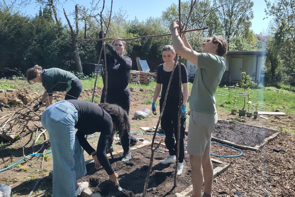 Fünf Menschen arbeiten im Beet