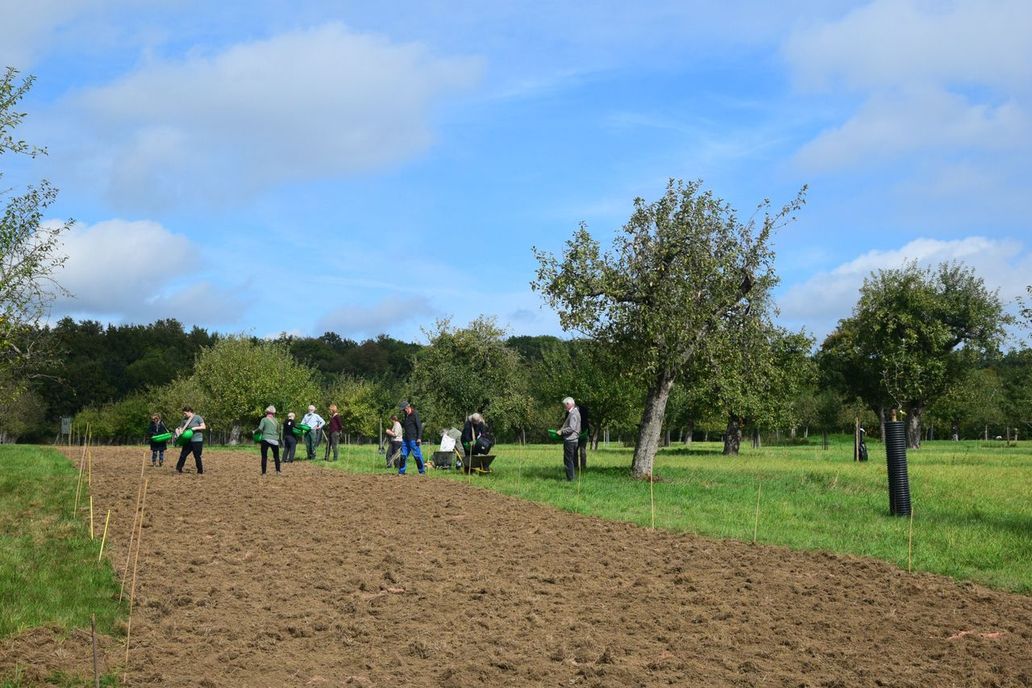Das Team beim Aussäen auf der herbstlichen Wiese